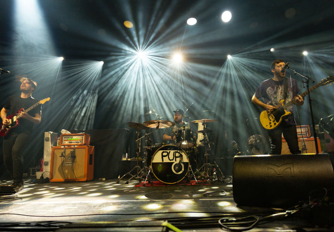 PUP - Berlin 22.11.2018 - Foto: Renè Hartwig